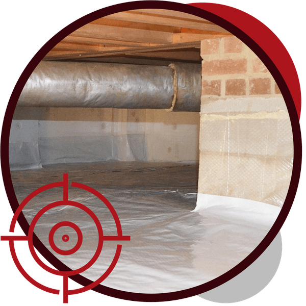 Mold And Vapor Barrier Services Elite Termite & Pest Control 